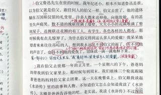 我的伯父鲁迅先生课文笔记