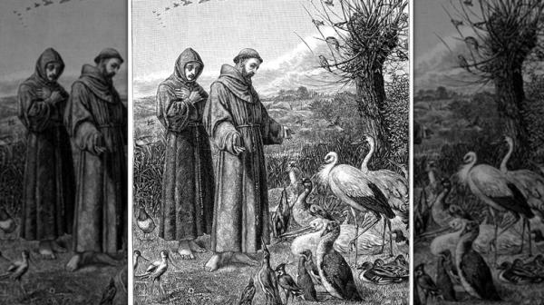 Saint Francis tends to birds