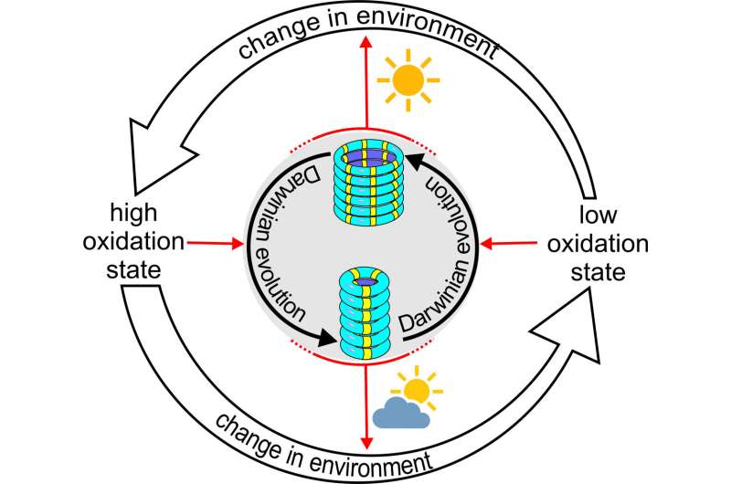 Evolving chemical system changes its environment