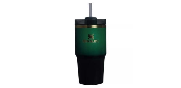 Elphaba Stanley 20 oz Stainless Steel H2.0 FlowState Quencher Tumbler