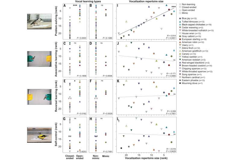 Vocal learning linked to problem solving skills and brain size